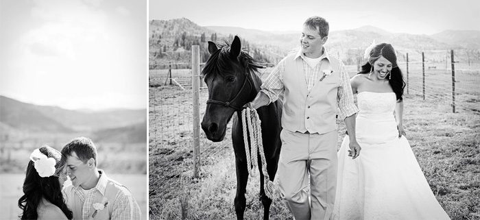 horse_wedding_portraits horse_wedding_portraits
