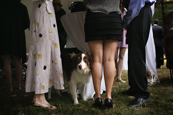dogs-at-weddings-028