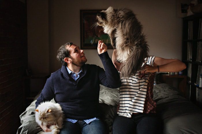 engagement photos at home with cats