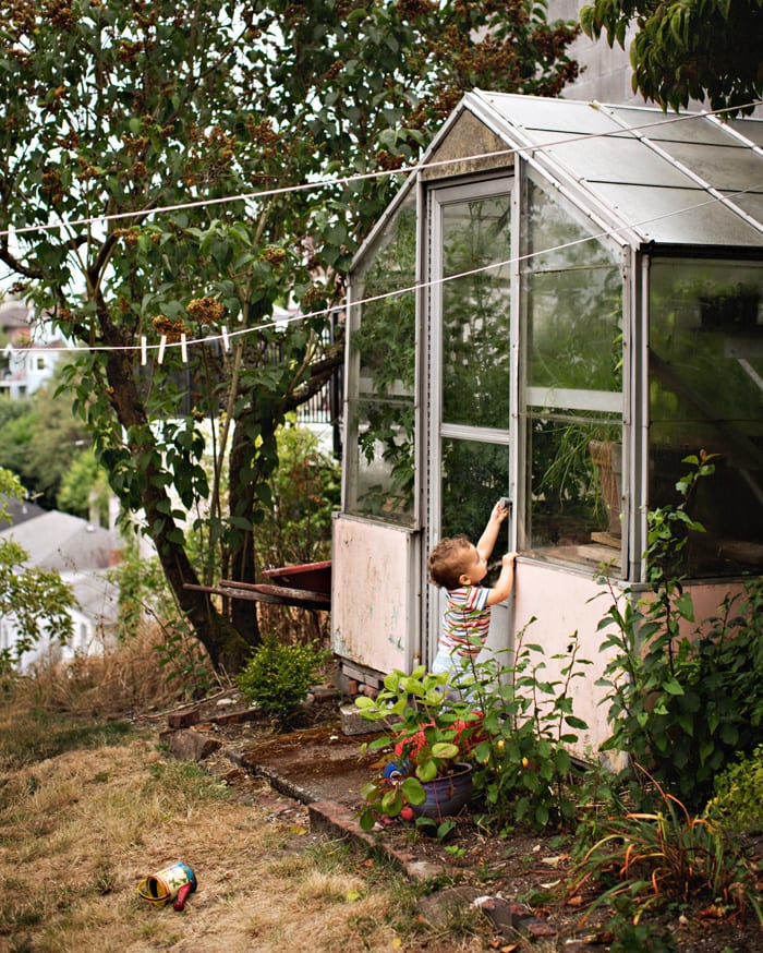 outdoor greenhouse for kids